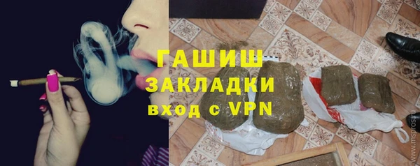 индика Каменногорск