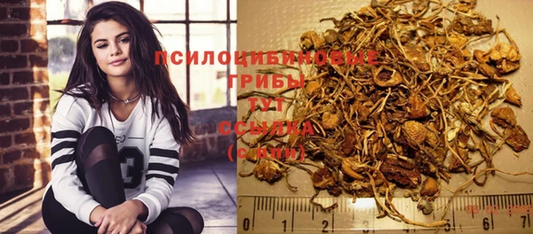 прущая мука Каменка