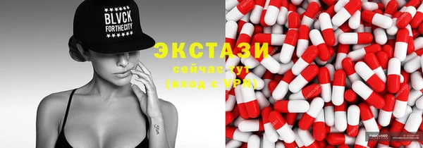 индика Каменногорск