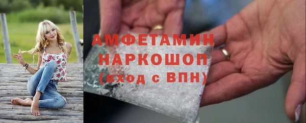 индика Каменногорск