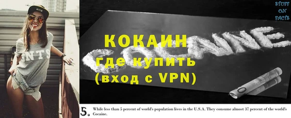 индика Каменногорск