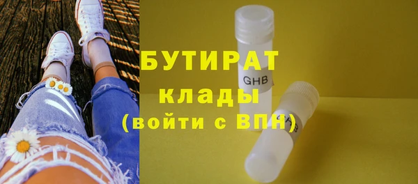 индика Каменногорск