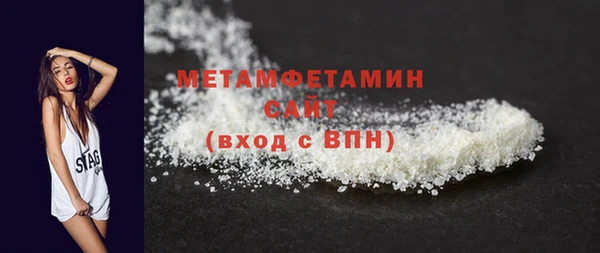 индика Каменногорск