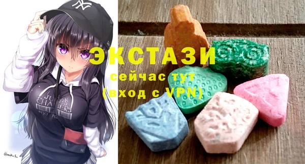 индика Каменногорск