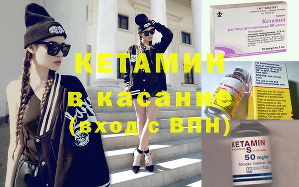 индика Каменногорск