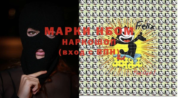 индика Каменногорск