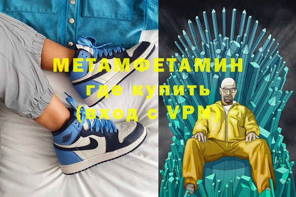 индика Каменногорск