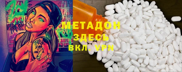 индика Каменногорск