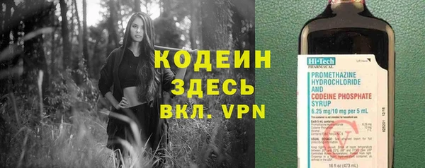 индика Каменногорск