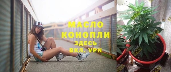 прущая мука Каменка