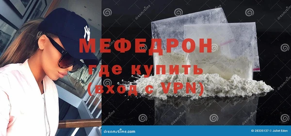 индика Каменногорск