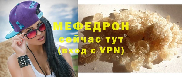 индика Каменногорск