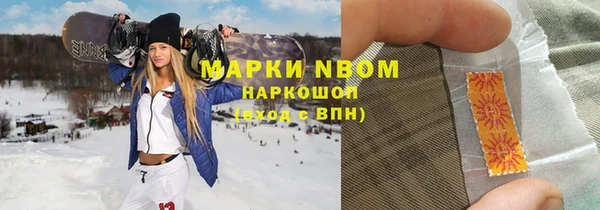 индика Каменногорск